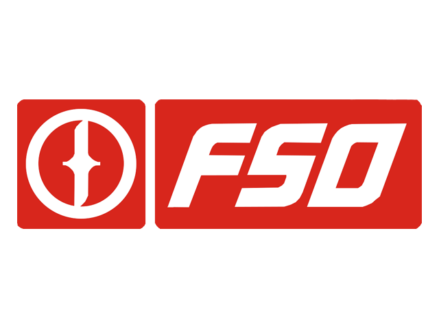 FSO logo