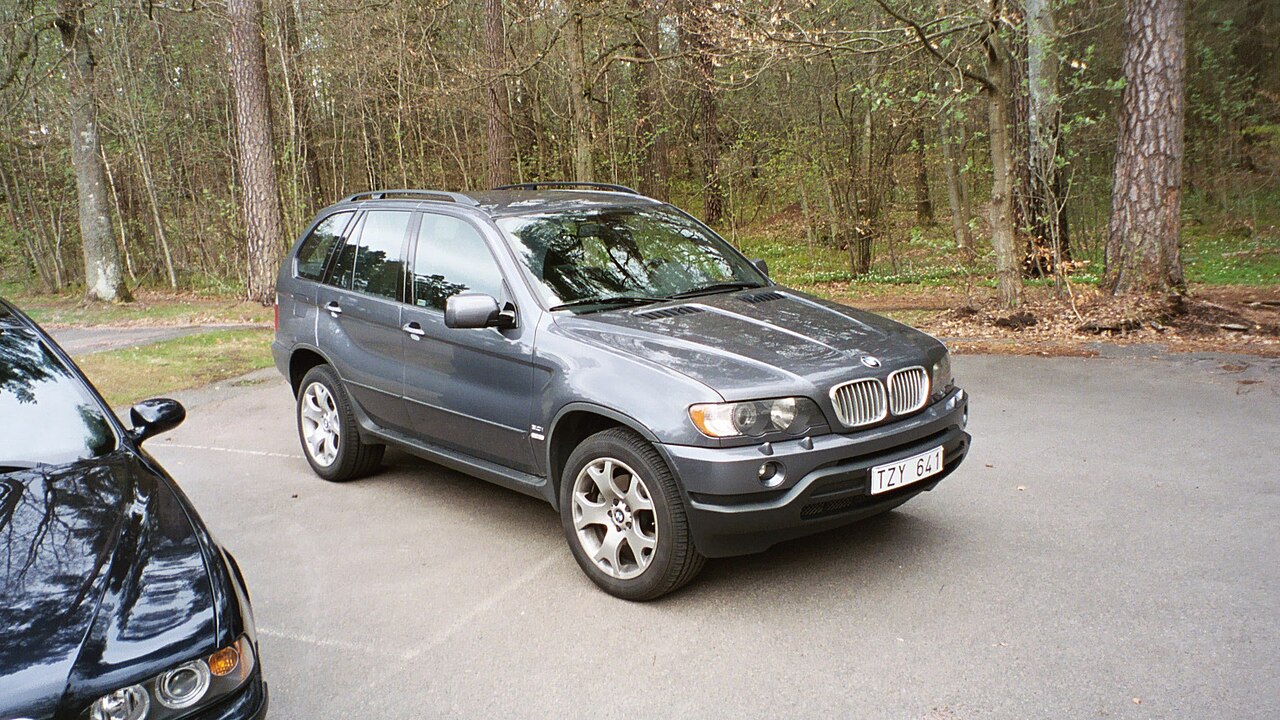 X5 preview 3