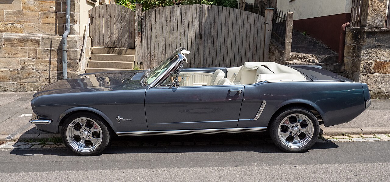 Mustang photo