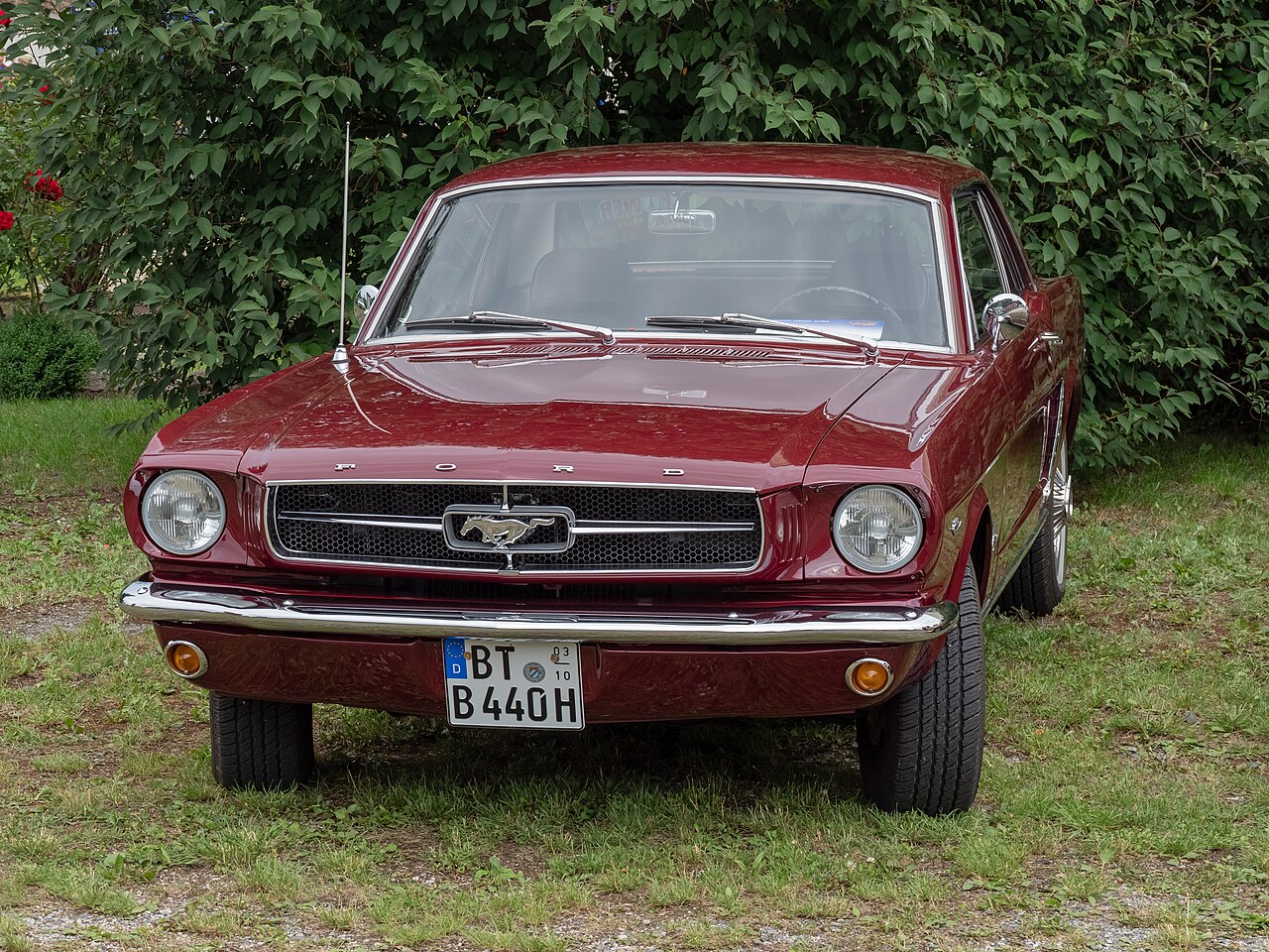 Mustang preview 3