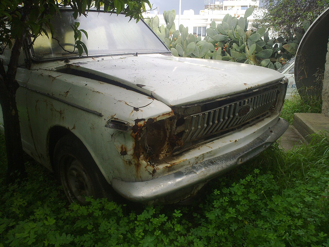 Corolla photo