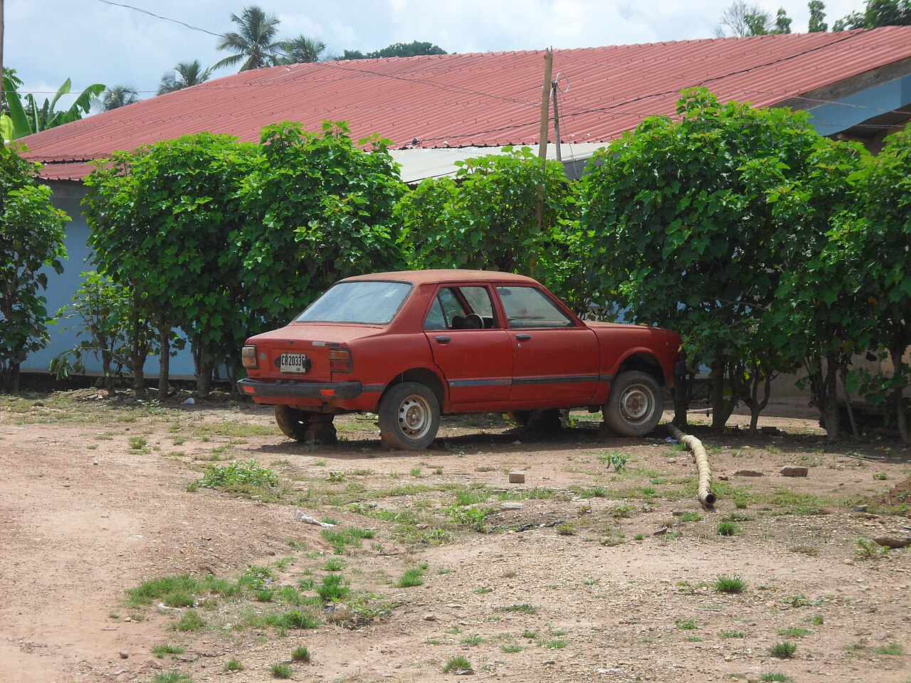 Tercel photo