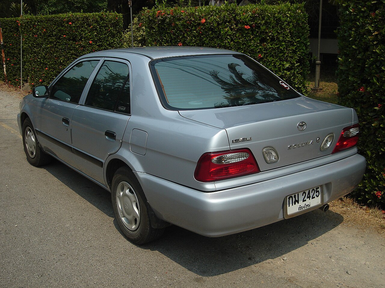 Tercel preview 4